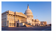 The Capitol Hill - Washington D.C. - Morning Shot