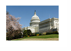 Capitol Hill building in the spring time