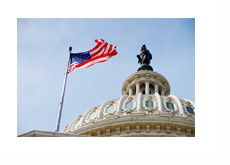 Capitol Hill - United States Flag - Photo