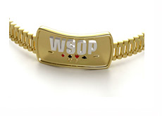 The World Series of Poker (WSOP) 2013 - Gold Bracelet