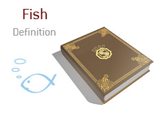 What does Fish mean in poker?