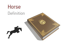Definition of term Horse in the game of poker - Dictionary