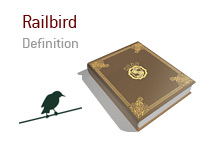 Definition and meaning of Railbird in poker