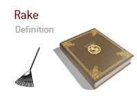 Definition of the term Rake in poker - Illustration