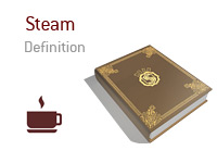 Definition and meaning of the term Steam in poker