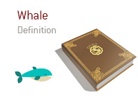Definition of Whale - Poker Dictionary - Illustration of a Blue Whale